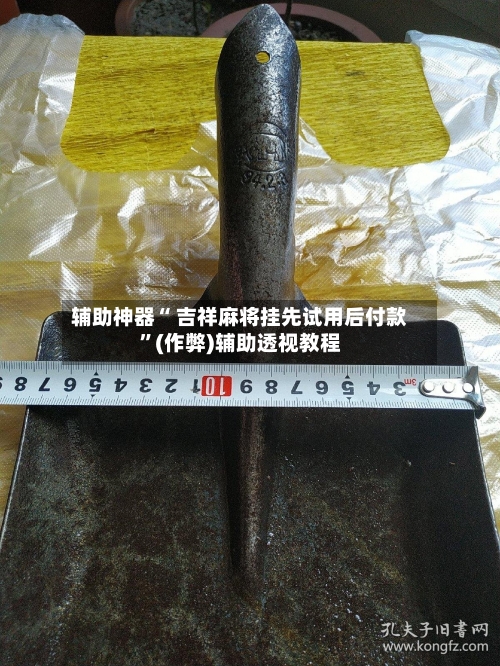 辅助神器“ 吉祥麻将挂先试用后付款”(作弊)辅助透视教程-第3张图片