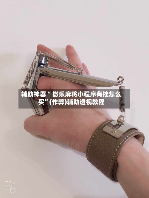 辅助神器“ 微乐麻将小程序有挂怎么买”(作弊)辅助透视教程-第2张图片