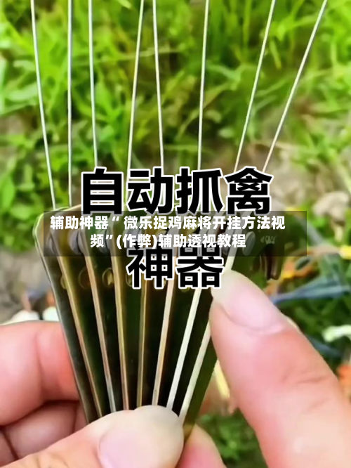 辅助神器“ 微乐捉鸡麻将开挂方法视频”(作弊)辅助透视教程-第3张图片