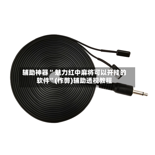 辅助神器“ 魅力红中麻将可以开挂的软件”(作弊)辅助透视教程