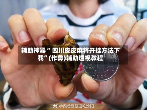 辅助神器“ 四川皮皮麻将开挂方法下载”(作弊)辅助透视教程
