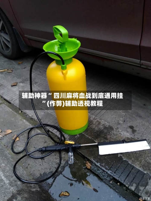辅助神器“ 四川麻将血战到底通用挂”(作弊)辅助透视教程