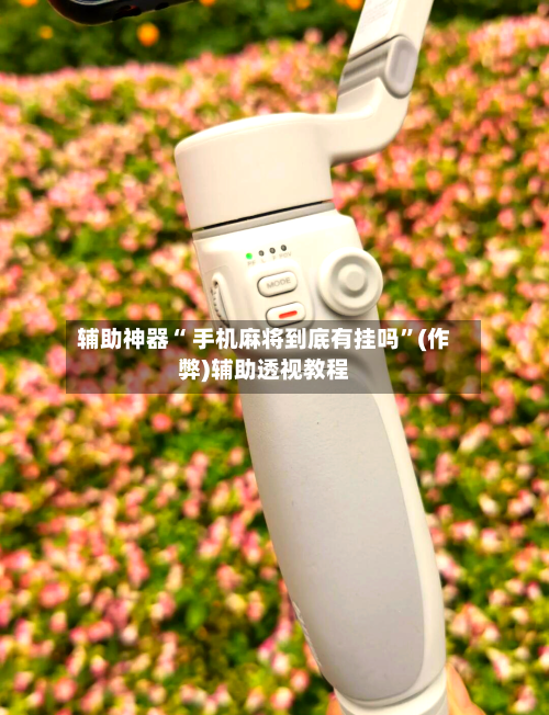 辅助神器“ 手机麻将到底有挂吗”(作弊)辅助透视教程-第2张图片