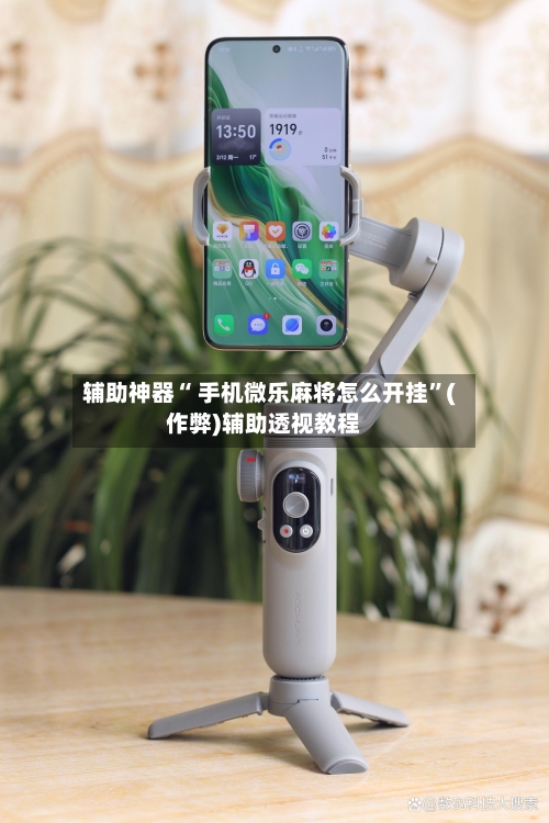 辅助神器“ 手机微乐麻将怎么开挂”(作弊)辅助透视教程