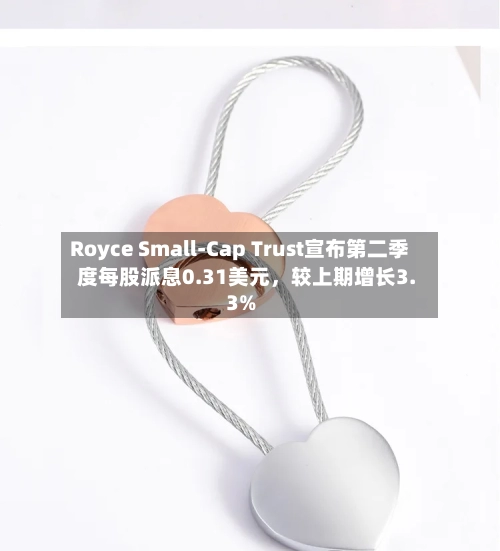 Royce Small-Cap Trust宣布第二季度每股派息0.31美元，较上期增长3.3%-第2张图片
