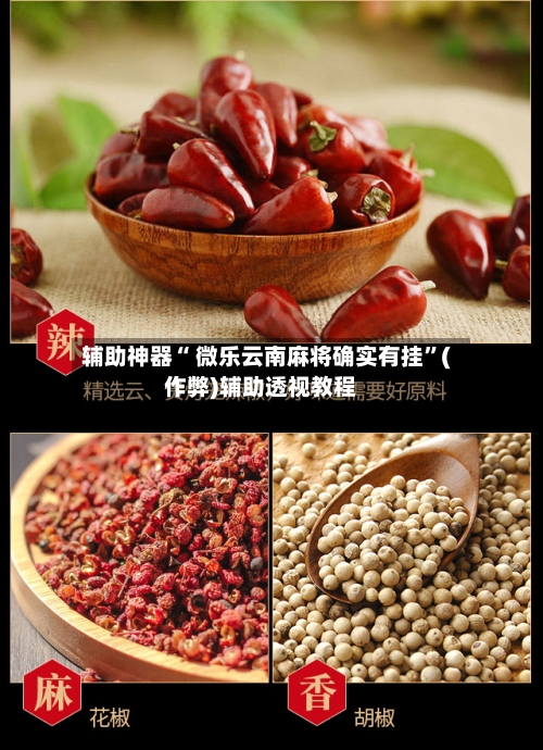 辅助神器“ 微乐云南麻将确实有挂”(作弊)辅助透视教程