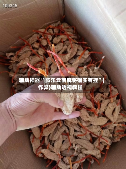 辅助神器“ 微乐云南麻将确实有挂”(作弊)辅助透视教程-第2张图片