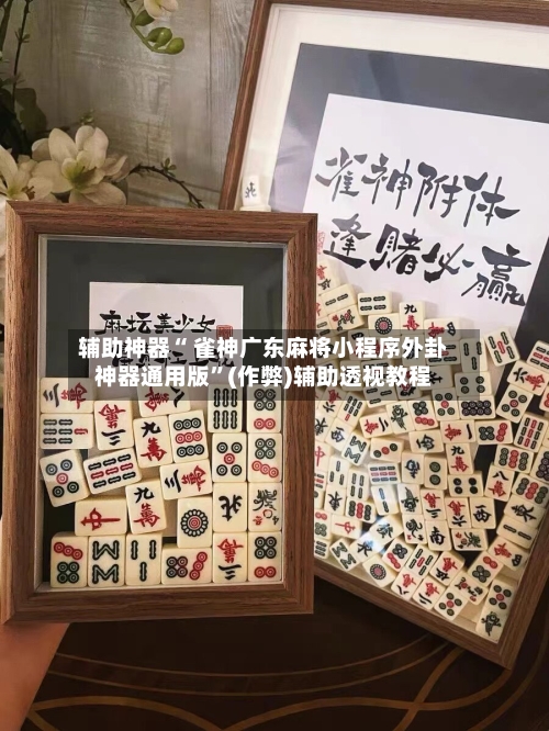 辅助神器“ 雀神广东麻将小程序外卦神器通用版	”(作弊)辅助透视教程-第3张图片