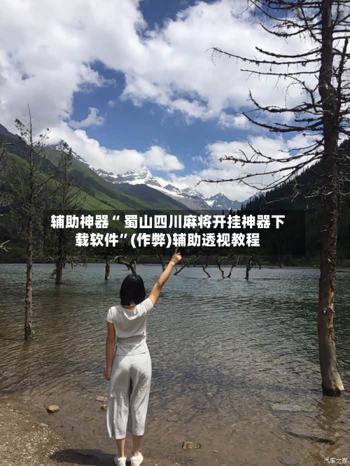 辅助神器“ 蜀山四川麻将开挂神器下载软件”(作弊)辅助透视教程-第2张图片