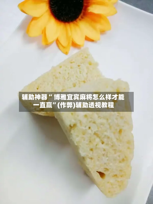 辅助神器“ 博雅宜宾麻将怎么样才能一直赢”(作弊)辅助透视教程-第2张图片