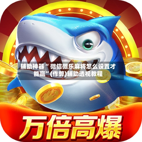 辅助神器“ 微信微乐麻将怎么设置才能赢”(作弊)辅助透视教程-第2张图片