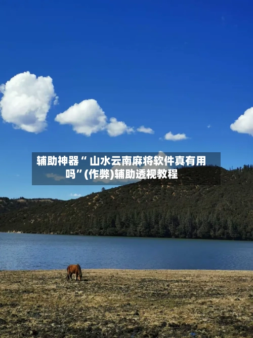 辅助神器“ 山水云南麻将软件真有用吗	”(作弊)辅助透视教程-第2张图片