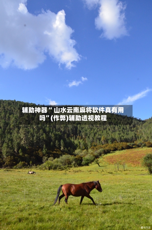辅助神器“ 山水云南麻将软件真有用吗”(作弊)辅助透视教程