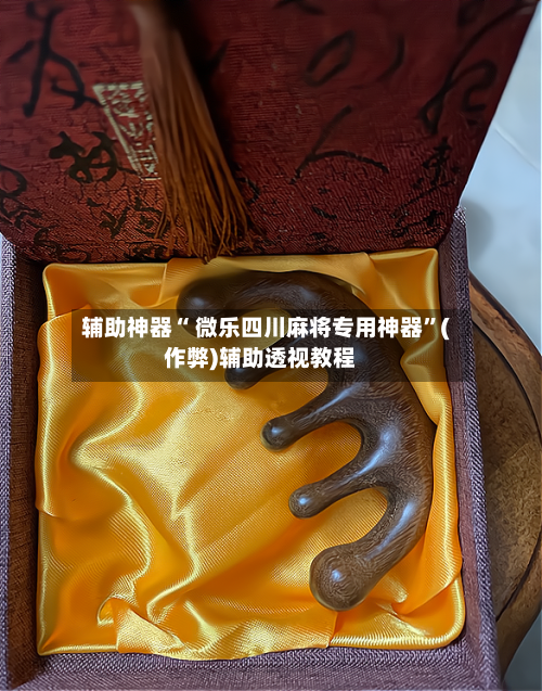 辅助神器“ 微乐四川麻将专用神器”(作弊)辅助透视教程