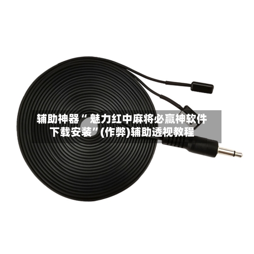 辅助神器“ 魅力红中麻将必赢神软件下载安装	”(作弊)辅助透视教程-第3张图片