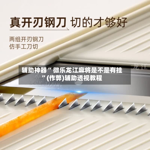 辅助神器“ 微乐龙江麻将是不是有挂”(作弊)辅助透视教程-第3张图片