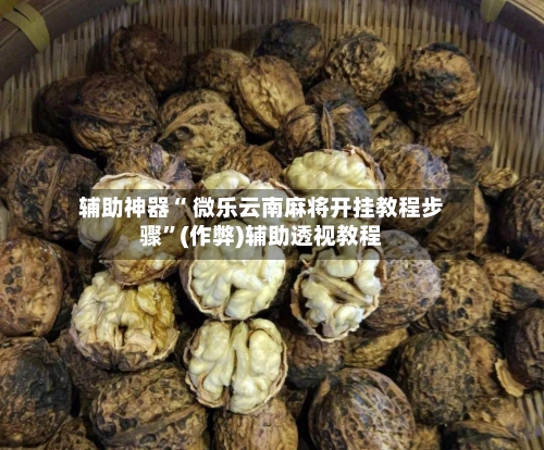 辅助神器“ 微乐云南麻将开挂教程步骤”(作弊)辅助透视教程