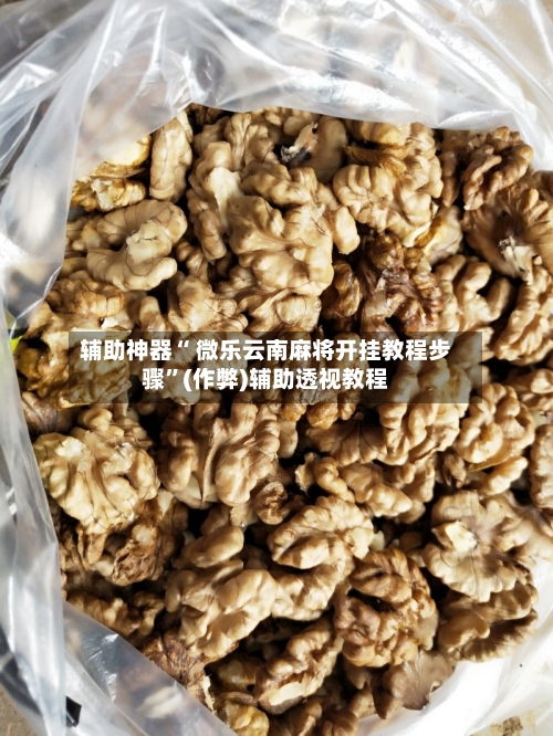 辅助神器“ 微乐云南麻将开挂教程步骤	”(作弊)辅助透视教程-第2张图片