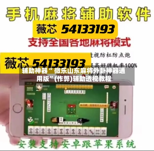 辅助神器“ 微乐山东麻将外卦神器通用版”(作弊)辅助透视教程-第2张图片