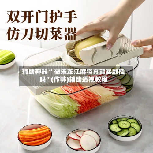 辅助神器“ 微乐龙江麻将真能买到挂吗”(作弊)辅助透视教程