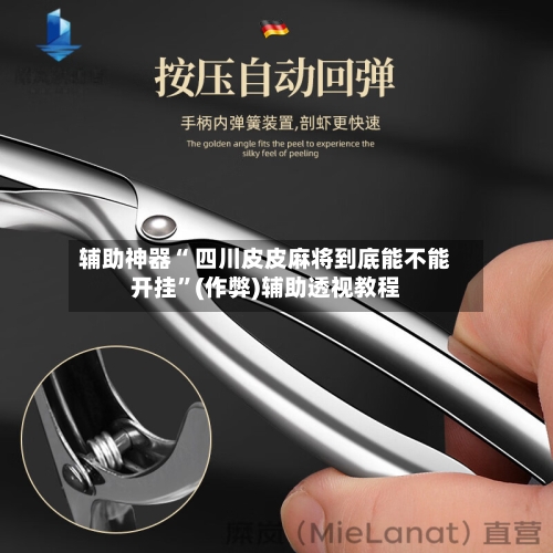 辅助神器“ 四川皮皮麻将到底能不能开挂”(作弊)辅助透视教程-第3张图片