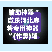 辅助神器“ 微乐河北麻将专用神器”(作弊)辅助透视教程-第2张图片