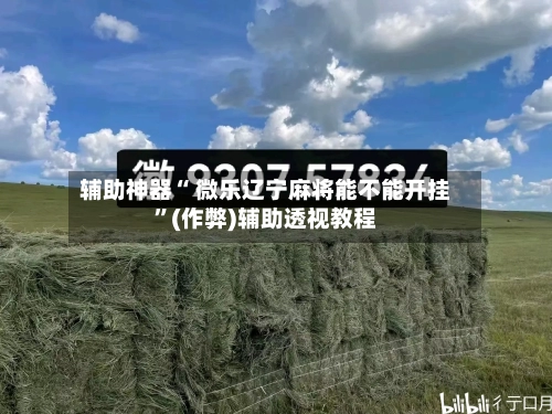 辅助神器“ 微乐辽宁麻将能不能开挂”(作弊)辅助透视教程