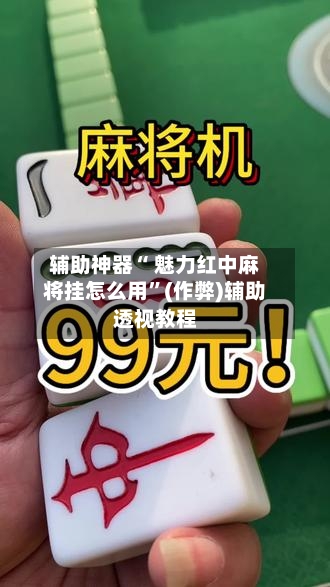 辅助神器“ 魅力红中麻将挂怎么用	”(作弊)辅助透视教程-第2张图片
