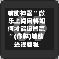 辅助神器“ 微乐上海麻将如何才能设置赢	”(作弊)辅助透视教程-第2张图片