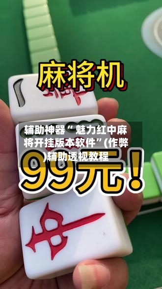 辅助神器“ 魅力红中麻将开挂版本软件”(作弊)辅助透视教程-第2张图片