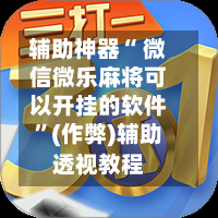 辅助神器“ 微信微乐麻将可以开挂的软件	”(作弊)辅助透视教程-第3张图片