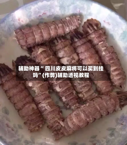 辅助神器“ 四川皮皮麻将可以买到挂吗”(作弊)辅助透视教程-第3张图片