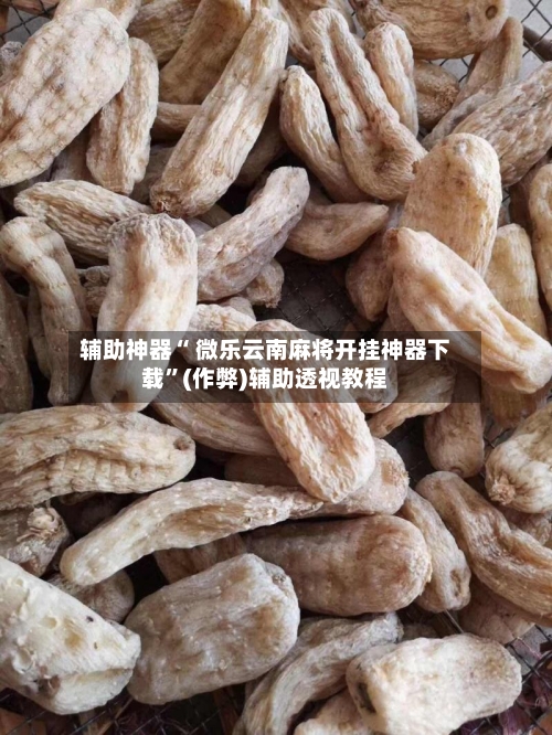 辅助神器“ 微乐云南麻将开挂神器下载”(作弊)辅助透视教程-第2张图片