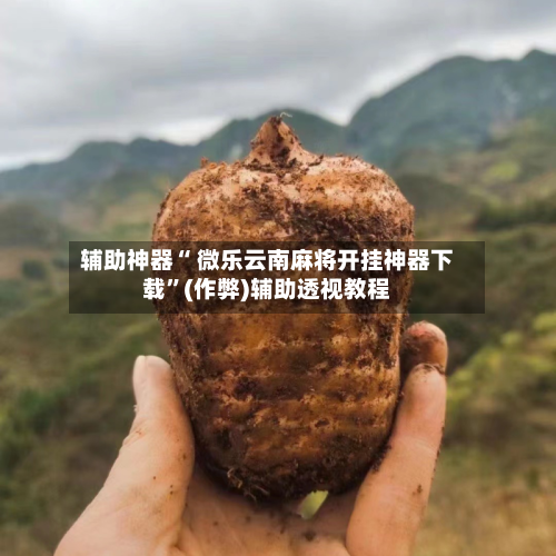 辅助神器“ 微乐云南麻将开挂神器下载”(作弊)辅助透视教程-第3张图片