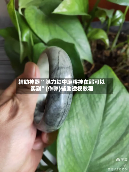 辅助神器“ 魅力红中麻将挂在那可以买到”(作弊)辅助透视教程