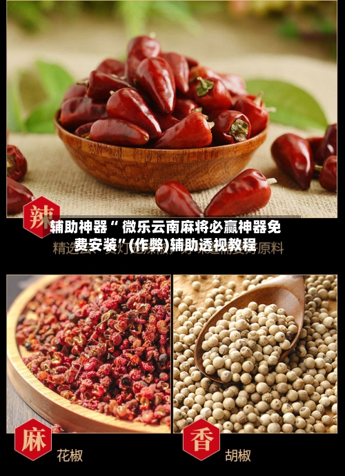 辅助神器“ 微乐云南麻将必赢神器免费安装”(作弊)辅助透视教程