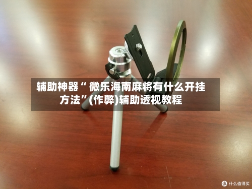 辅助神器“ 微乐海南麻将有什么开挂方法”(作弊)辅助透视教程