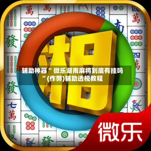 辅助神器“ 微乐湖南麻将到底有挂吗”(作弊)辅助透视教程