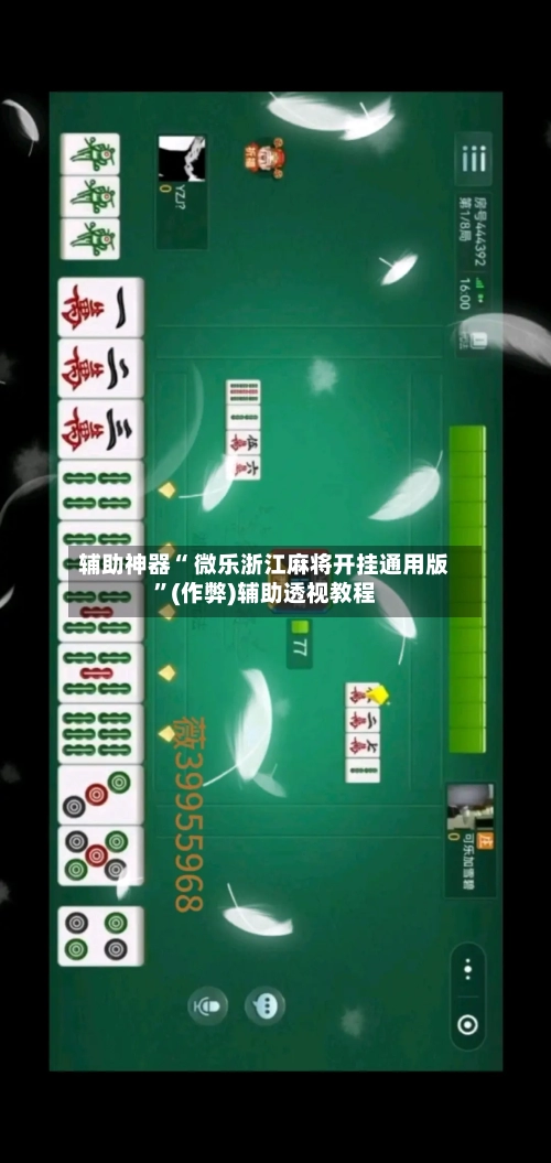 辅助神器“ 微乐浙江麻将开挂通用版”(作弊)辅助透视教程-第3张图片