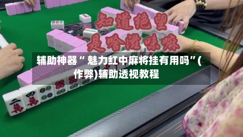 辅助神器“ 魅力红中麻将挂有用吗”(作弊)辅助透视教程