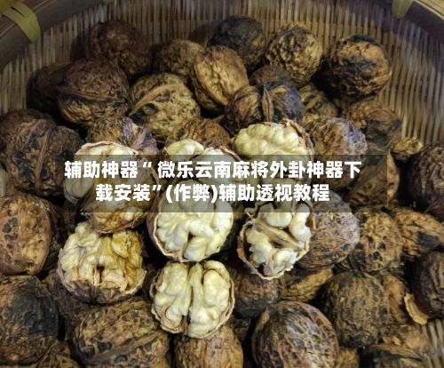 辅助神器“ 微乐云南麻将外卦神器下载安装	”(作弊)辅助透视教程-第2张图片