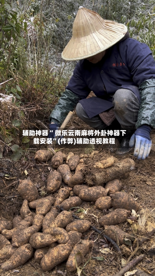 辅助神器“ 微乐云南麻将外卦神器下载安装”(作弊)辅助透视教程
