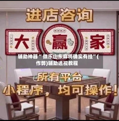 辅助神器“ 微乐山东麻将确实有挂”(作弊)辅助透视教程-第2张图片
