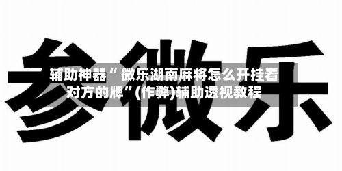 辅助神器“ 微乐湖南麻将怎么开挂看对方的牌”(作弊)辅助透视教程