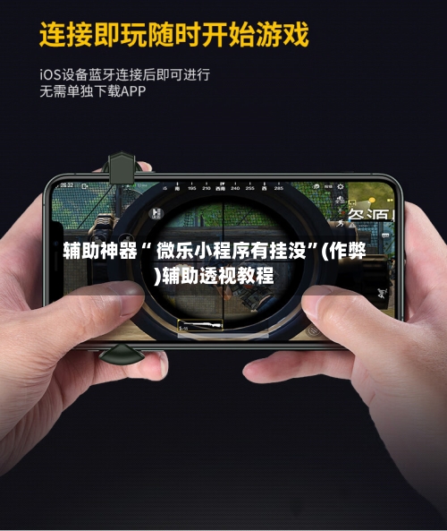 辅助神器“ 微乐小程序有挂没”(作弊)辅助透视教程-第2张图片