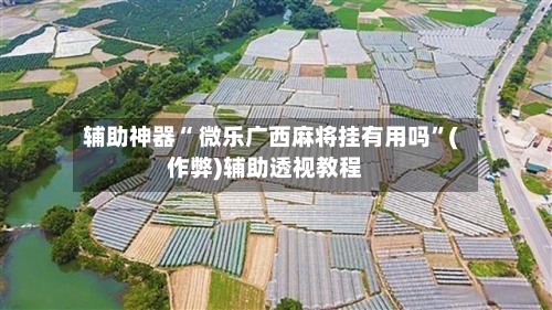 辅助神器“ 微乐广西麻将挂有用吗”(作弊)辅助透视教程