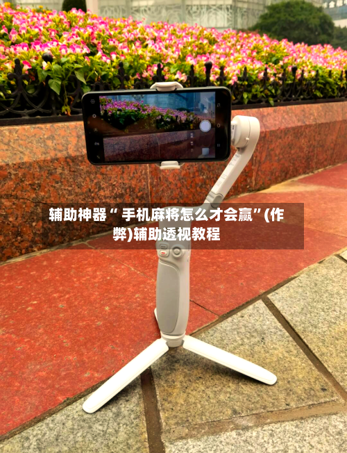 辅助神器“ 手机麻将怎么才会赢”(作弊)辅助透视教程-第3张图片