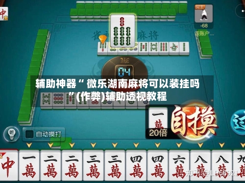 辅助神器“ 微乐湖南麻将可以装挂吗”(作弊)辅助透视教程-第2张图片