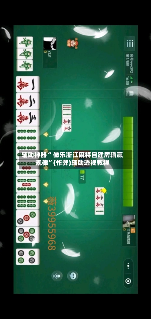 辅助神器“ 微乐浙江麻将自建房输赢规律	”(作弊)辅助透视教程-第3张图片
