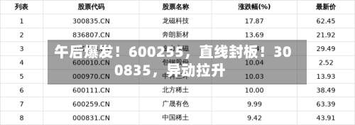 午后爆发！600255，直线封板！300835，异动拉升-第2张图片